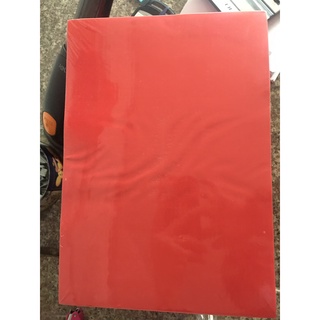 Giấy photo màu a3 - 80gsm - 500 tờ