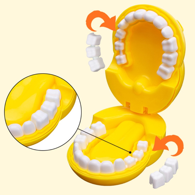 Mô Hình Hàm Răng Đồ Chơi Tương Tác Cho Ba Mẹ Và Bé