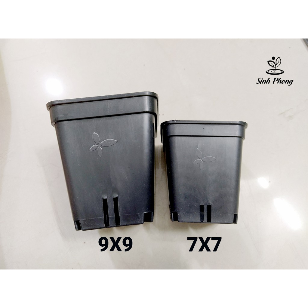 Chậu vuông 9x9 đen