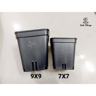 Chậu vuông 9x9 đen (Set 50 cái)