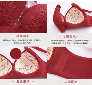 Áo Ngực Ren Size Lớn Cup 36-46 B C