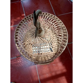 LỒNG CU GÁY BẮC GIANG