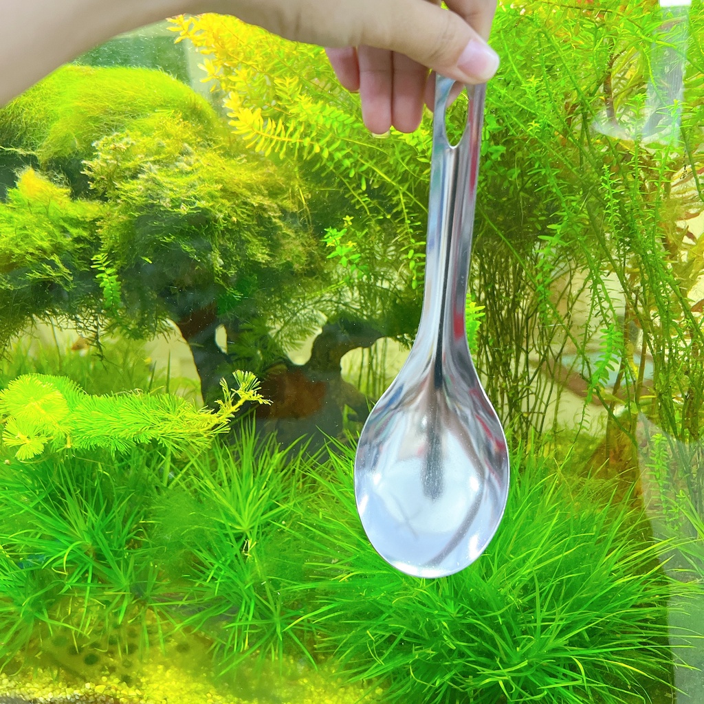 Vá múc cơm , vá múc canh inox Cao Cấp - Vá xới cơm inox OVAL không dính