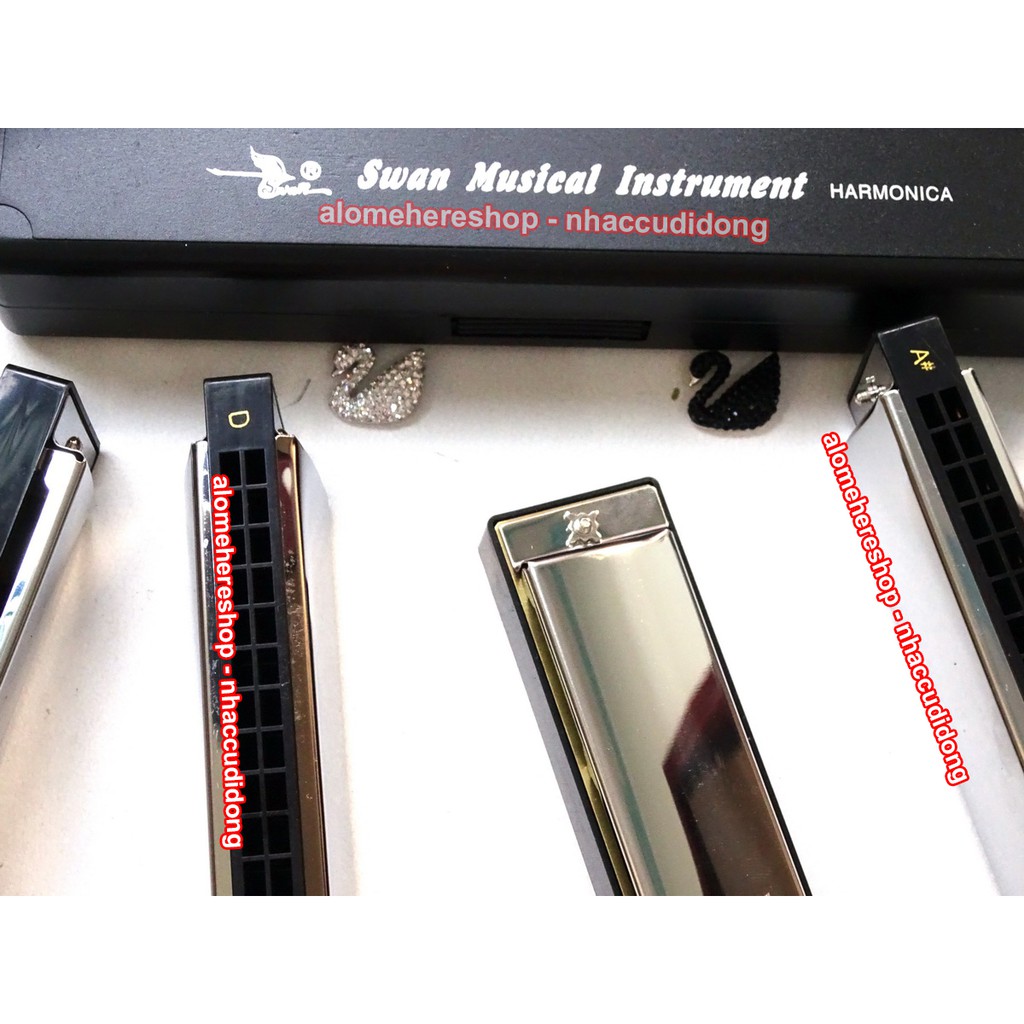 Kèn harmonica tremolo Swan Inconceivable SW24 Key C#