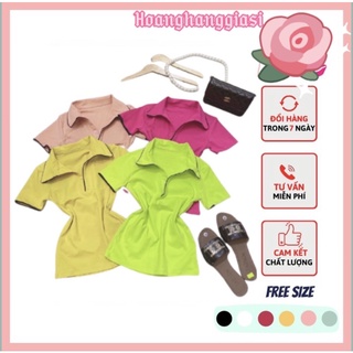 [ XẢ HÀNG 5 NGÀY] áo cổ bẻ thun borip