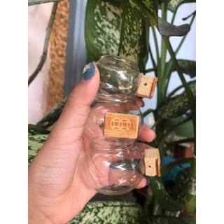 Cóng Thuỷ tinh Mào ,Mi ,choè Đat ,khuyên