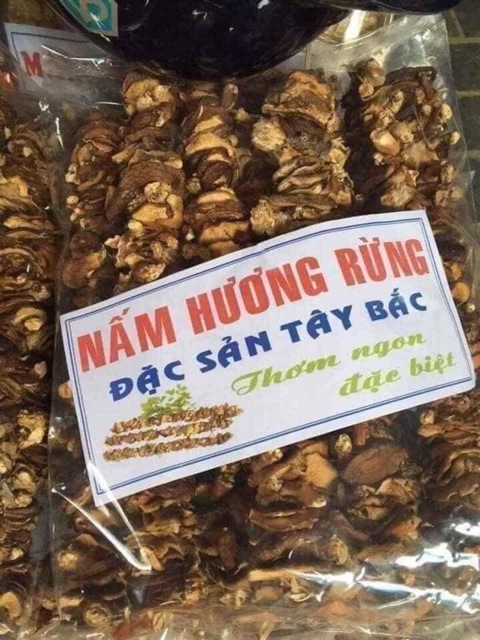 Nấm hương rừng Điện Biên