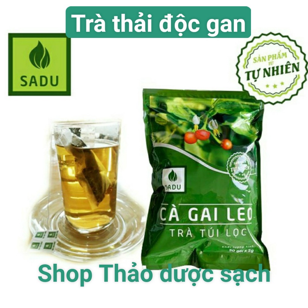 Trà túi lọc cà gai leo Sadu mát gan thanh nhiệt cơ thể 250g