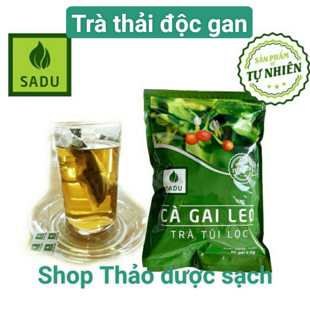 Trà cà gai leo Sadu túi lọc mát gan thanh nhiệt cơ thể 250g