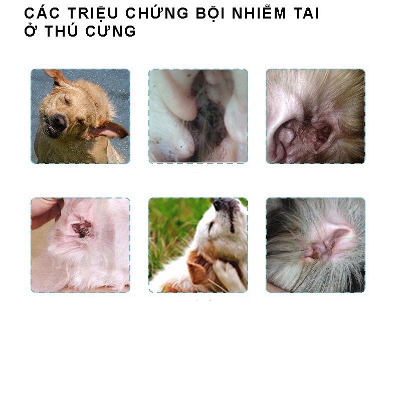 Dung dịch nhỏ tai, làm sạch tai và ngăn ngừa viêm tai cho chó mèo Borammy (60ml)