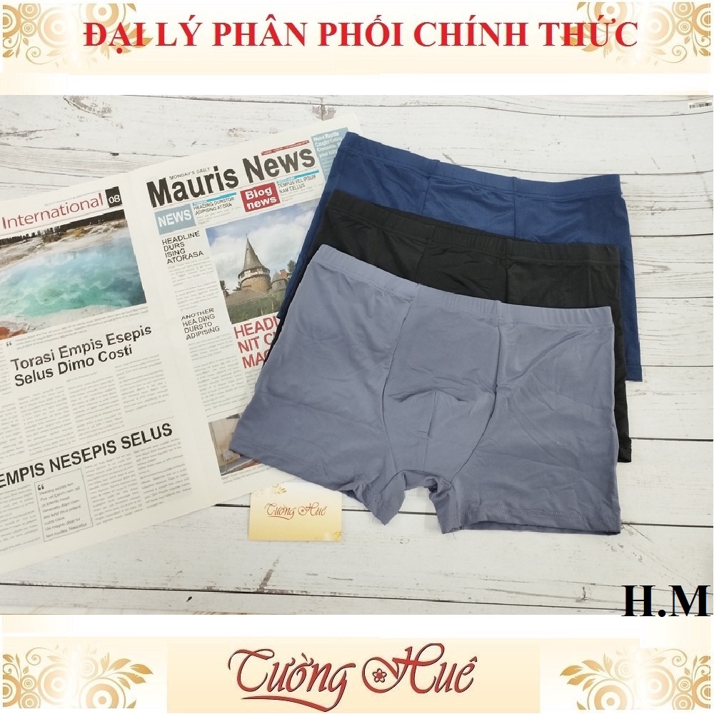 Quần lót nam H.M dạng đùi thun lạnh.