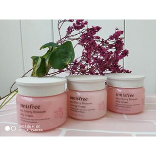 Kem dưỡng da Innisfree Jeju Cherry Blossom