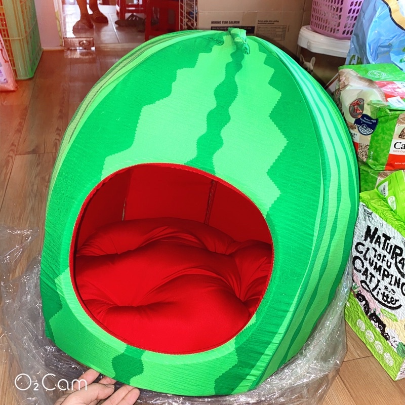 các mẫu nhà ngủ cho chó mèo