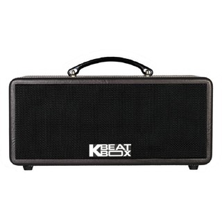 LOA DI ĐỘNG KARAOKE ACNOS KS361MS CHÍNH HÃNG