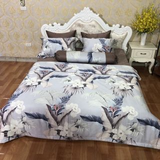 Drap phủ siêu lụa