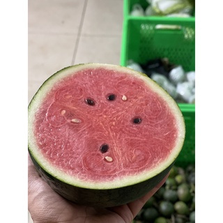 Dưa hấu chỉ giao HCM