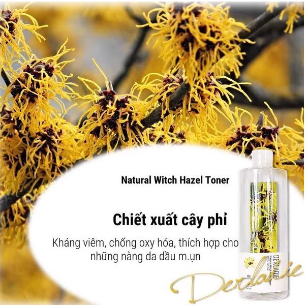 Nước Hoa Hồng Chiết Xuất Cây Phỉ Derladie Natural Witch Hazel Toner