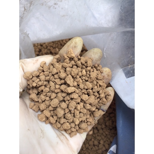 Đất trồng sen đá xương rồng akadama 200g