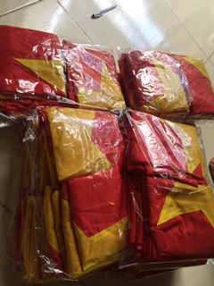 Cờ việt nam