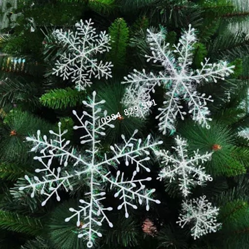 Set 9 bông tuyết đường kính 8cm dán kính, treo cây thông Noel, trang trí vòng nguyệt quế Giáng sinh.