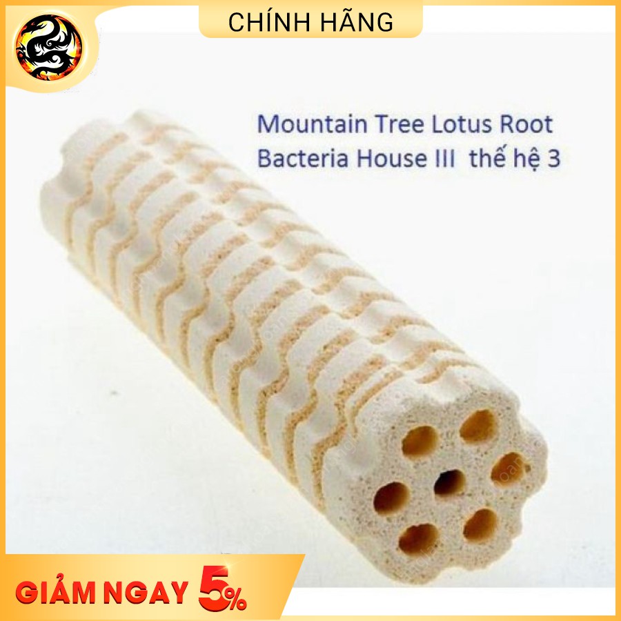 Sứ Lọc Củ Sen Thế Hệ 2 – Lotus Root Bacteria House Mountain Tree II