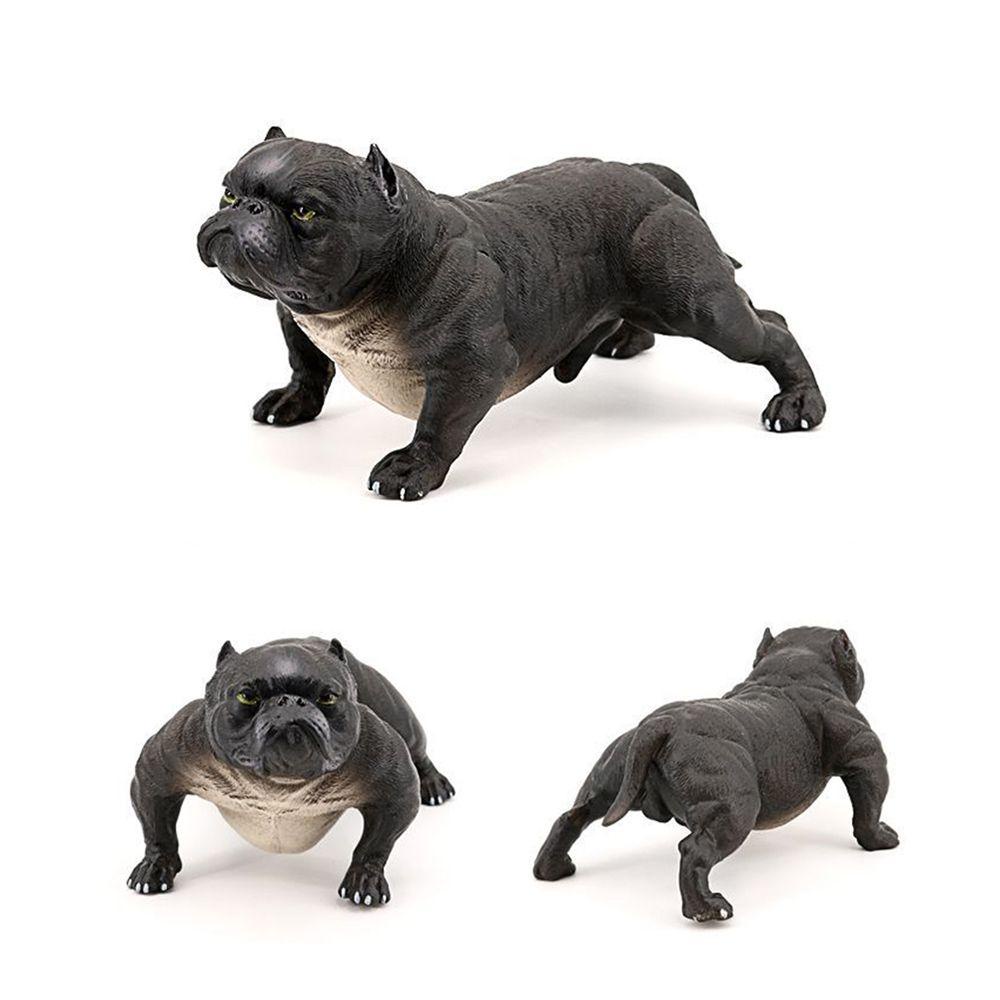 Mô Hình Chim Canine Sống Động Như Thật Trang Trí Sân Vườn