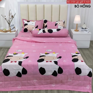 Chăn hè cotton poly trần bông 3 lớp kích thước 1m8x2m