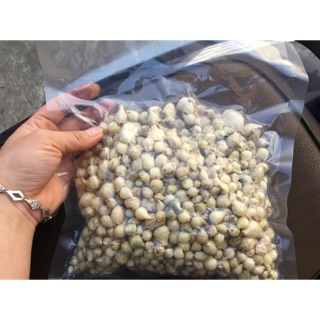 Hành tăm( củ nén)