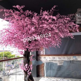 Combo 100 cành đào làm cây đào giả