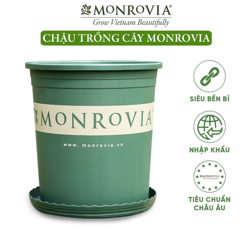 Chậu trồng cây MONROVIA  kèm đĩa lót, cây cảnh mini, trồng rau, hoa, để bàn, treo ban công,Châu Âu