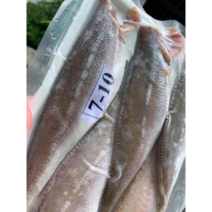 Cá Đù 1 nắng nguyên con 1kg - [ Ship Siêu Tốc HCM ]