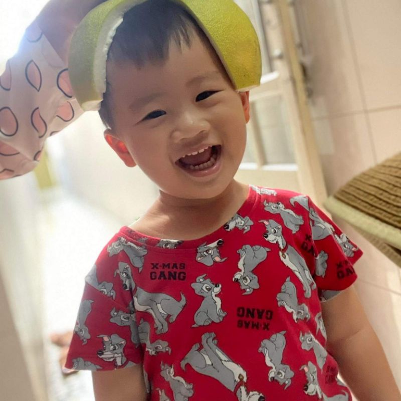 [VNXK] Bộ Đồ HM Cộc Tay Cotton Hè Hàng Xuất Dư Xịn Hình Gấu Thỏ, Khủng Long Đáng Yêu Cho Bé Trai Bé Gái