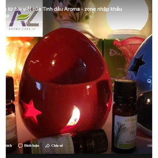 ĐẾ ĐỐT TINH DẦU BẰNG NẾN-HÌNH QUẢ TRỨNG