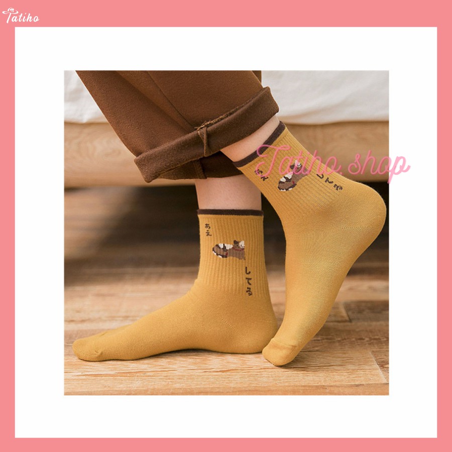 [Hàng Xịn, Giá Tốt] Vớ Tất Đeo Chân Họa Tiết Mèo Màu Cổ Điển Đẹp Nam Nữ - Mã TV001