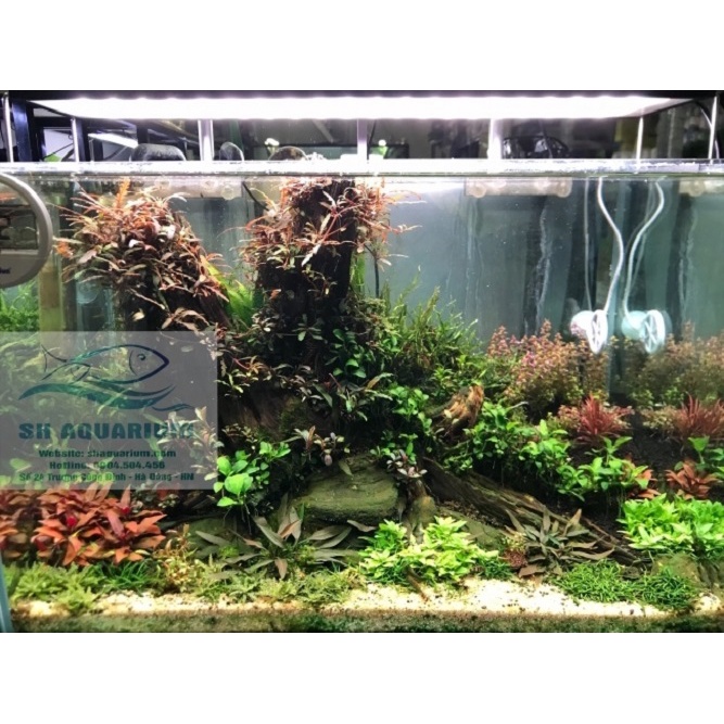 ĐÈN CHIHIROS WRGB2 45CM