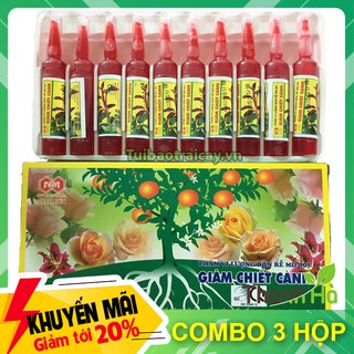 3 hộp - Thuốc giâm chiết cành Minh Đức hiệu quả cao T3.3