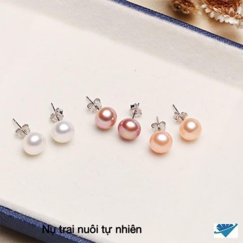 Bông nụ, nụ bạc gắn trai nuôi cao cấp, khuyên bạc bibi silver