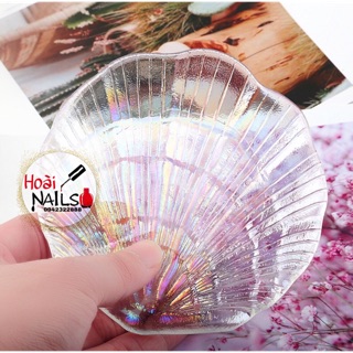 Vỏ sò, dây trai chụp ảnh - Phụ kiện Nail Giá Rẻ