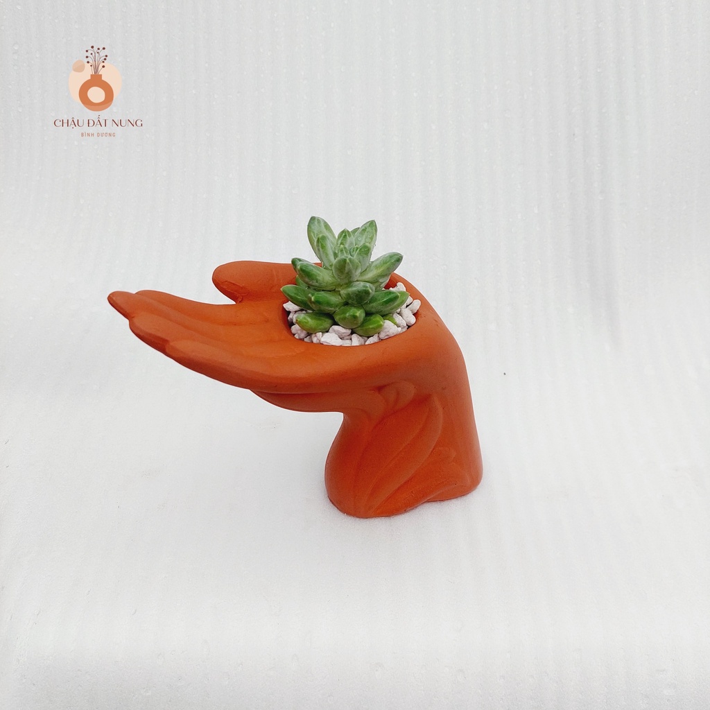 Chậu đất nung, Chậu sen đá - Bàn tay của người tôi yêu, miệng chậu 6cm, chiều cao 15cm