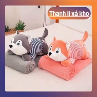 Chăn gấu văn phòng 2 trong 1