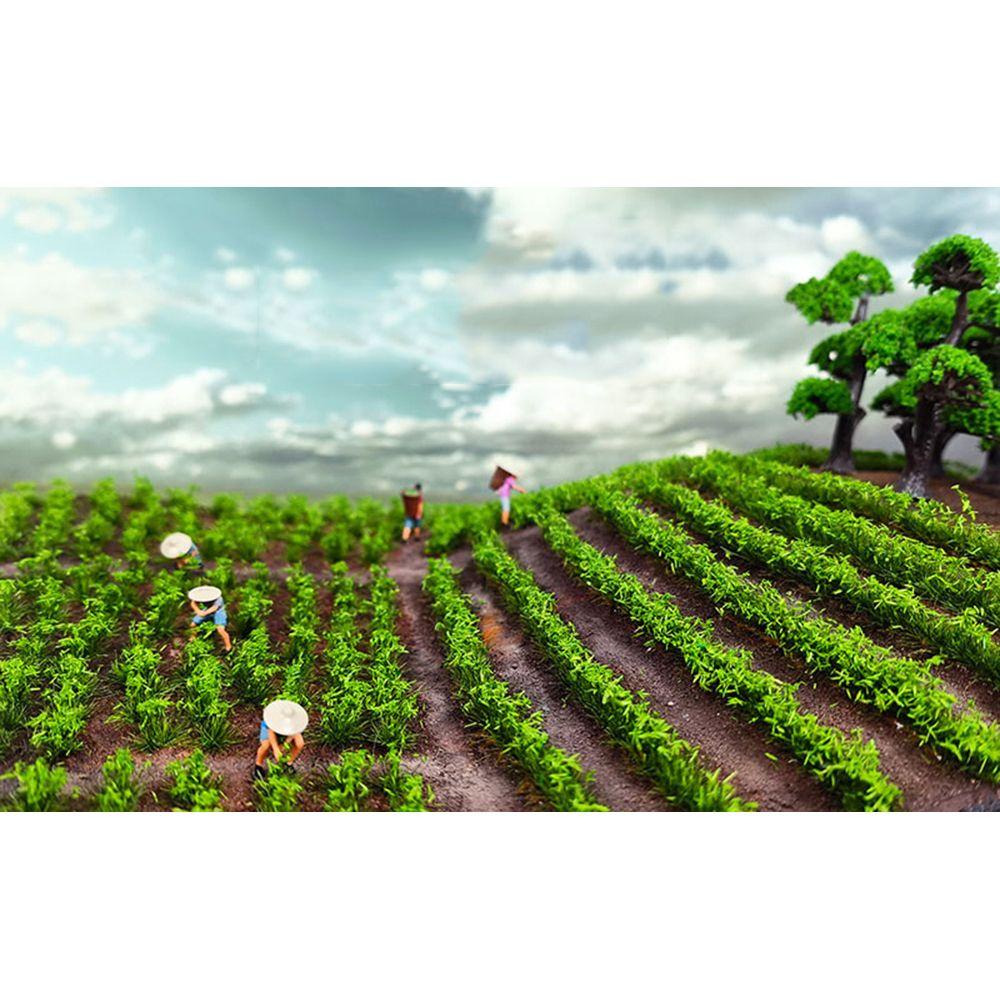 Cỏ Nhân Tạo Để Bàn Trang Trí Nhà Búp Bê 1