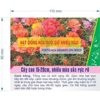 Hạt giống hoa mười giờ nhiều màu