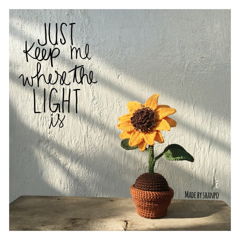 Set nguyên liệu móc len Hoa Hướng Dương 01