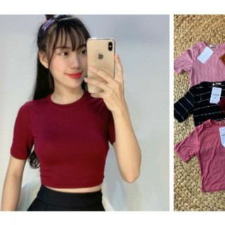 Áo thun ôm tay ngắn nhiều màu | ôm body | áo phông