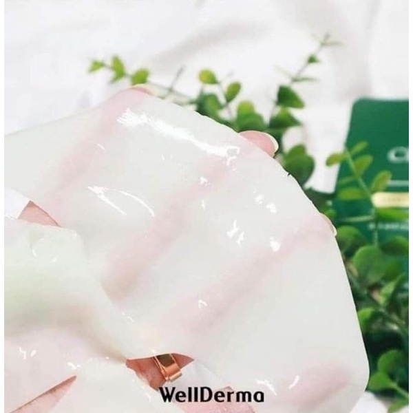 Mặt Nạ Thạch Làm Dịu, Phục Hồi Da WellDerma Premium Cica Treatment Repair Fitting Mask