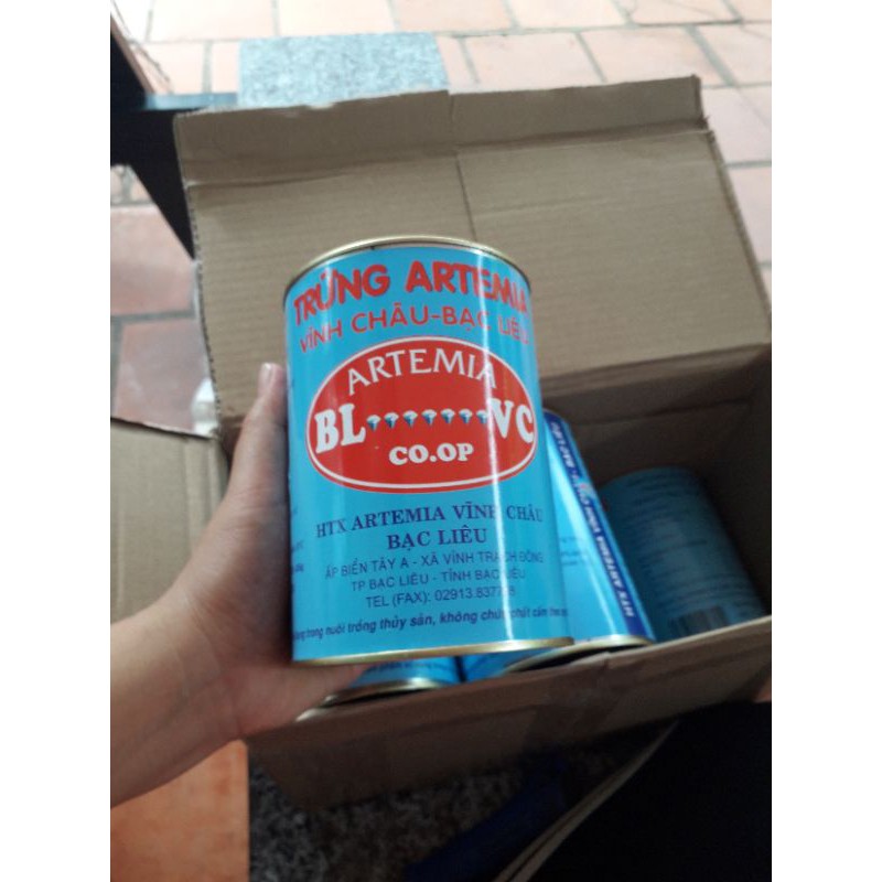 Artermia vĩnh châu 50gram