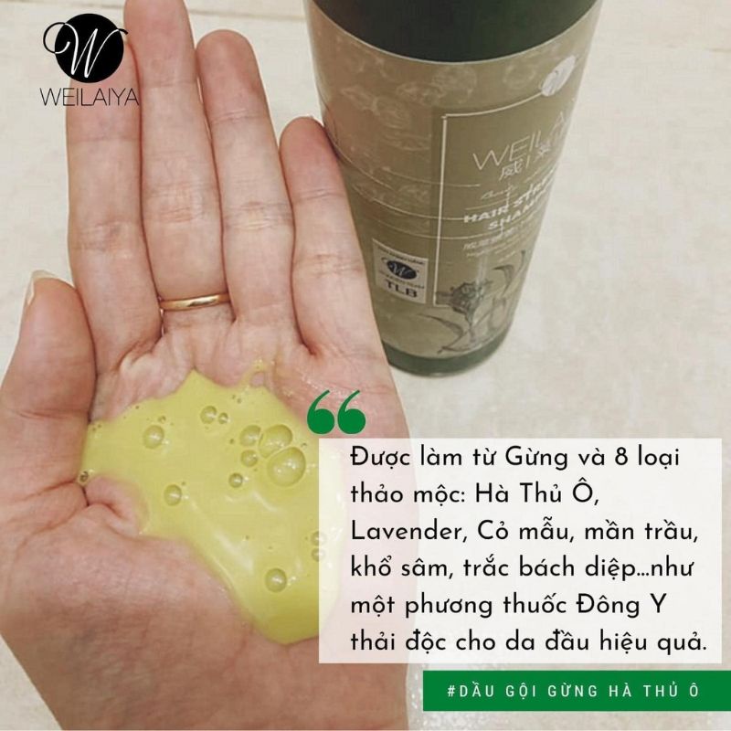 Bộ gội xả gừng welaiya ngăn dụng tóc và ngăn gầu