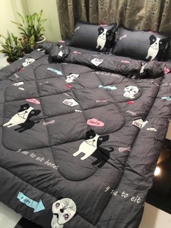 Set chăn phao cotton poly
