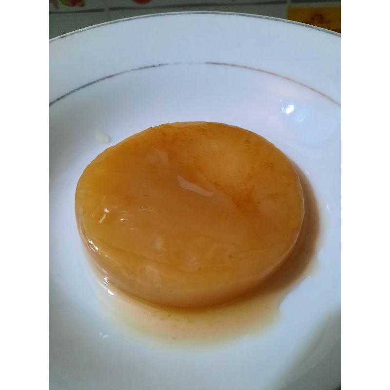 Trà Kombucha / Scoby + nước mồi làm trà Kombucha dễ dàng thực hiện