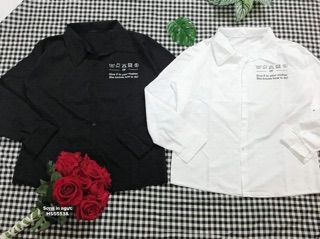 Áo sơmi chữ ngực (HS/KT)
